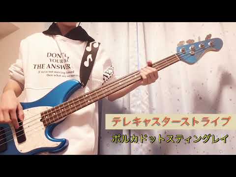 [ベース弾いてみた]　テレキャスターストライプ / ポルカドットスティングレイ