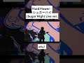 FLUID FLOWER 「シュガーハイ(Sugar High)」 Live Clip Highlight2 #acoustic  #Shorts #FLUIDFLOWER
