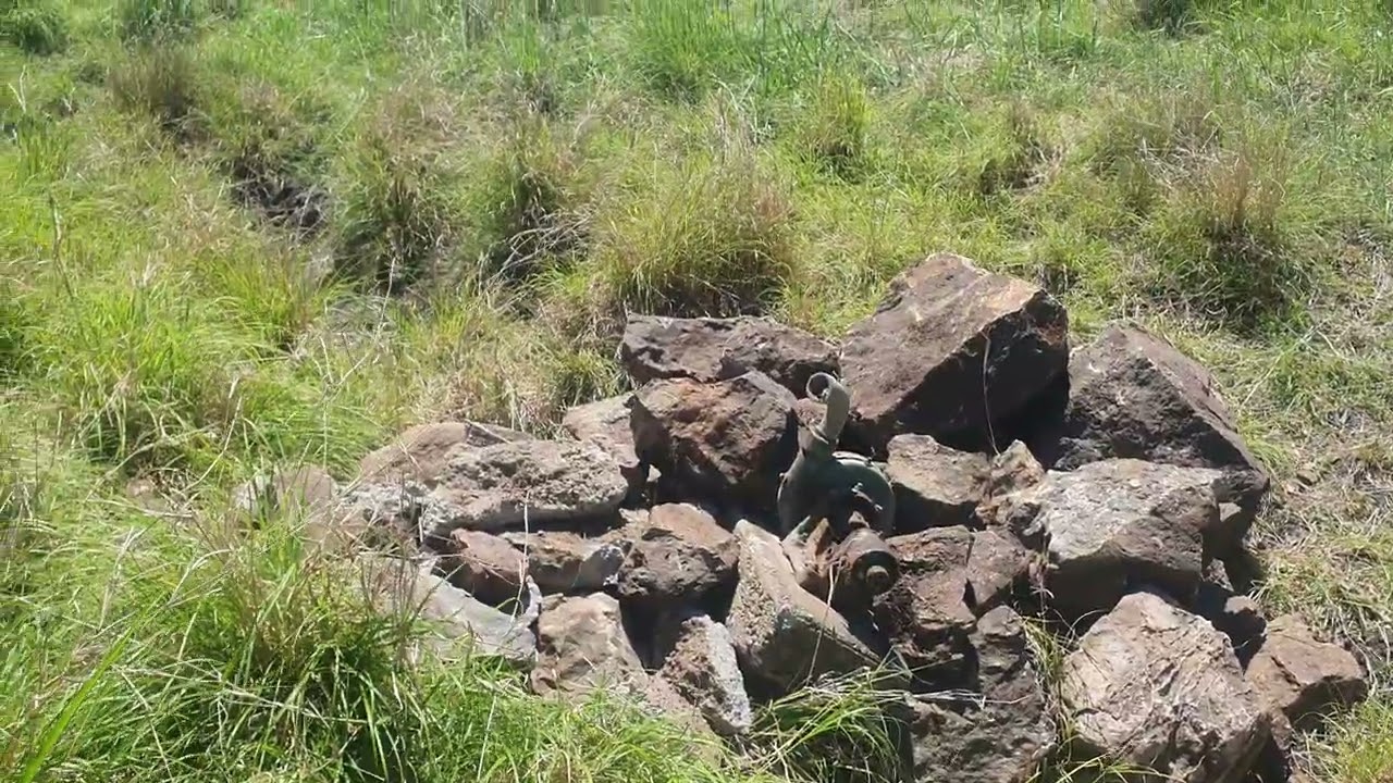 Helping Nature heal an incised gully.