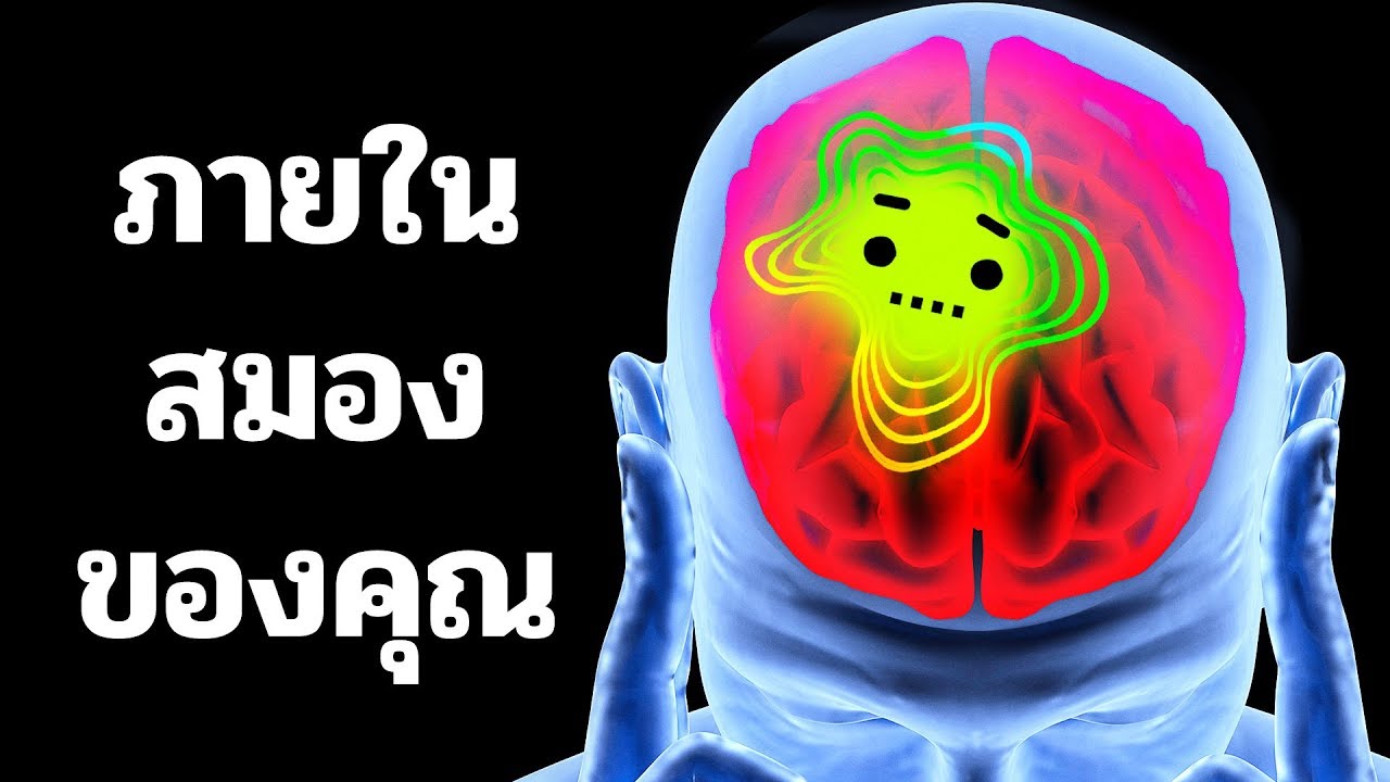 สมอง ของ คอมพิวเตอร์  2022  การเดินทางเข้าไปในสมองของคุณ