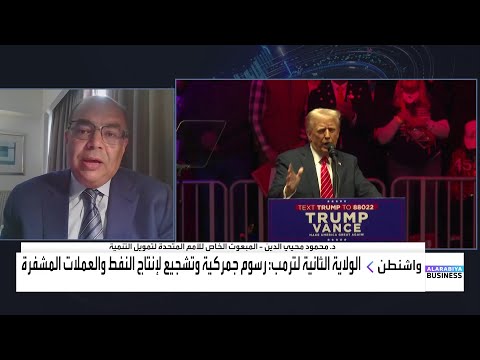 د محمود محيي الدين زيادة الرسوم الجمركية عن حدها وبمثابة ضريبة على المستهلك