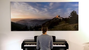 Epson Large Format Printing at London Drugs Photolab