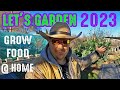 What&#39;s Growing On In The Garden? Winter Gardening Updates 2023!