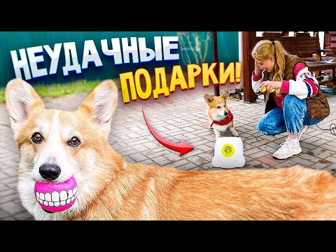 Распаковка с корги Бентли! Бесполезные игрушки для питомцев?