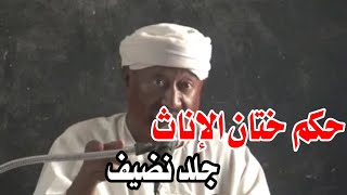 ماحكم ختان الإناث||الشيخ محمد مصطفى عبدالقادر