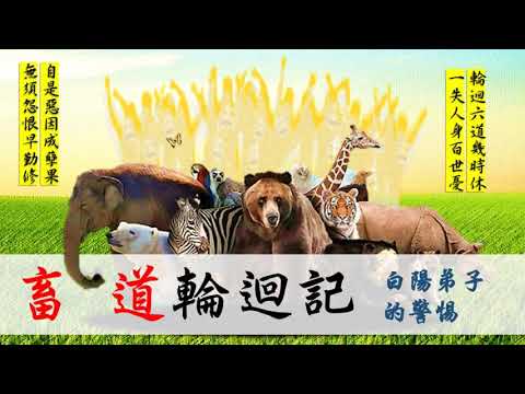 國語有聲善書【畜道輪迴記之白陽弟子的警惕】諸佛菩薩著 第二回 只會講別人，自己卻做不到的下場 (修道人不要講別人對錯、要求別人，因為真修道人不見世間過！)