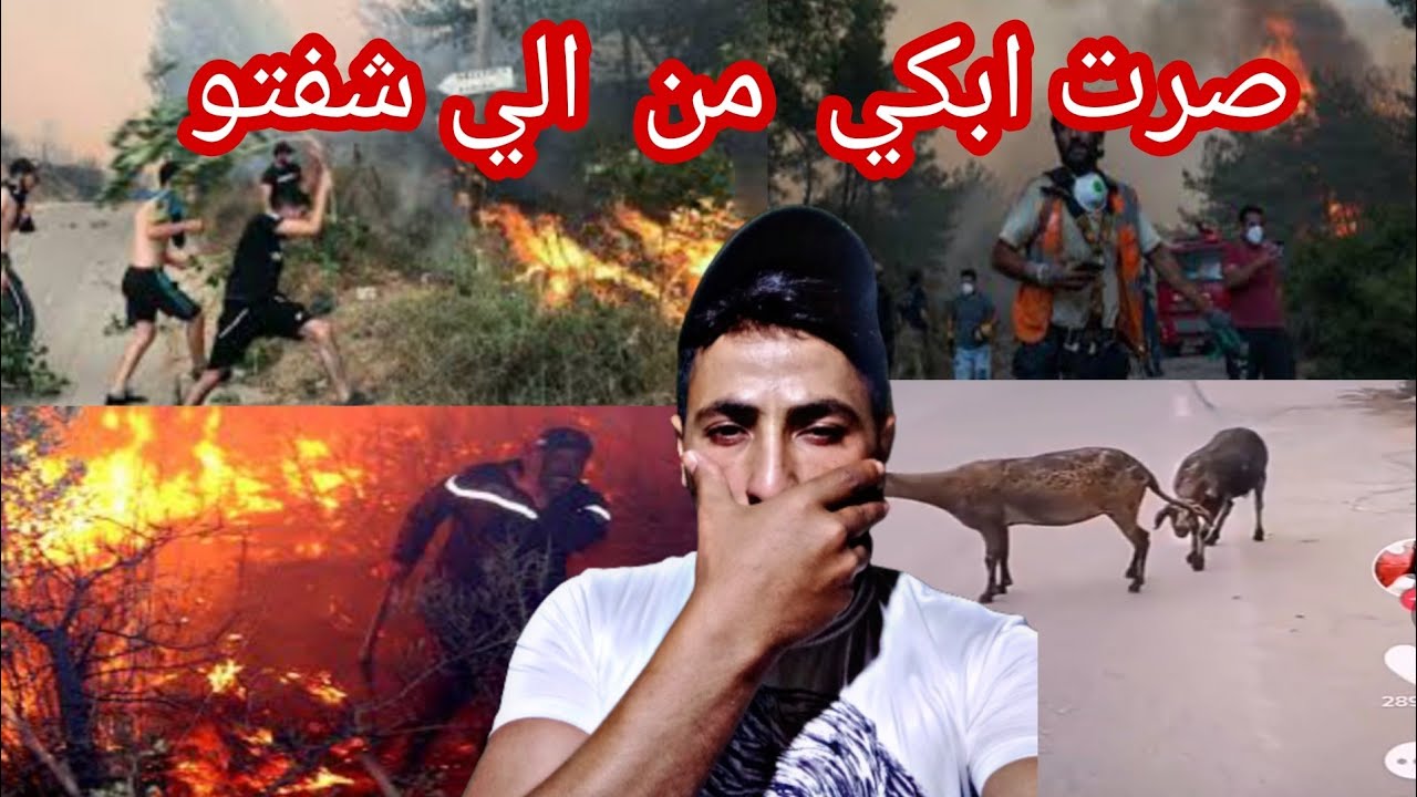 ردةفعل سوري على الحرائق في الجزائر حريق دمر الغابات صرت ابكي😭