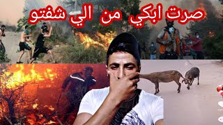 ردةفعل سوري على الحرائق في الجزائر حريق دمر الغابات صرت ابكي?