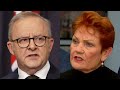 One Nation aims to ‘get rid of Labor’ as Sky News Pulse shows polling neck-and-neck