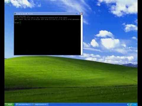 Xming running gedit on Windows XP