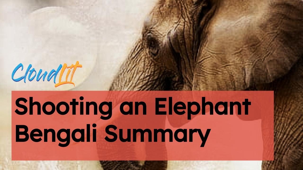 Shooting an Elephant Bengali Summary YouTube