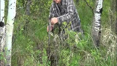 Professional Coyote Snaring/Power Snare Demonstration