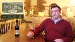 Buena Vista Winery - 2013 Otelias Pinot Noir