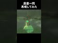 霹靂一閃に憧れた勇者 【ゼルダの伝説 ティアーズオブザキングダム】