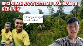 Download Lagu KEADAAN KEBUN SAYA SETELAH LAMA SAYA NGGAK NAIK, TERNYATA KOPI NYA SUDAH BANYAK MP3