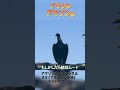 アマゾン森本【ブラジル縦断旅〜#3】ナイトサファリ ~その1