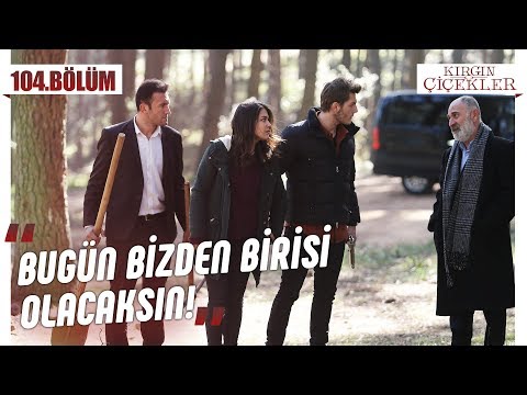 Ali için karar zamanı! - Kırgın Çiçekler 104.Bölüm