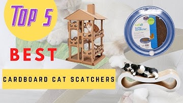 5 Best Cardboard Cat Scratchers ( Buying Guide )