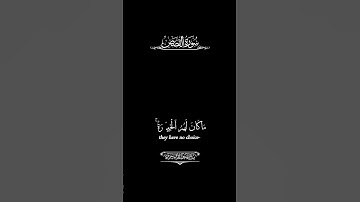 كروما سورة القصص القارئ الشيخ ياسر الدوسري #القرآن_الكريم
