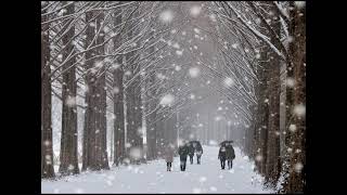 Chris De Burgh  -  Snow Is Falling