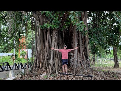 رحلتي الى تايلند / بنكوك يوم الأول My first day in Bangkok, Thailand