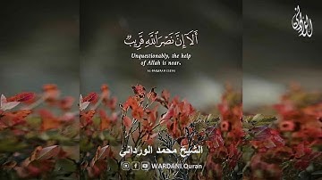 ألا إن نصر الله قريب | آيات كريمات من سورة البقرة | الشيخ محمد الورداني