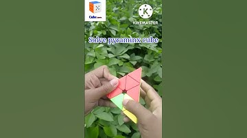 Solve pyraminx cube|| How to solve pyraminx cube || Solve cube #short