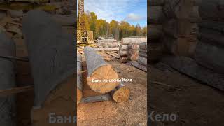 Баняизбревна#деревянныйдом#строительство#сруб#wood#доска#бревнокело#кедр#рубленнаябаня#банякупить