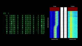 TV Electromagnetic Interference (EMI) Demo