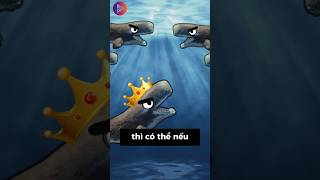 (P1) #leviathan có nắc được cá voi sát thủ không  #funny
