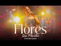 Priscila Senna - Flores Que Plantei (Ao Vivo) image