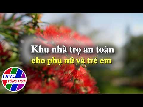 Beautiful Flowers in Everyday Life: Safe Boarding Houses for Women and Children