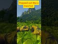 Grayzone Warfare PvP kill
