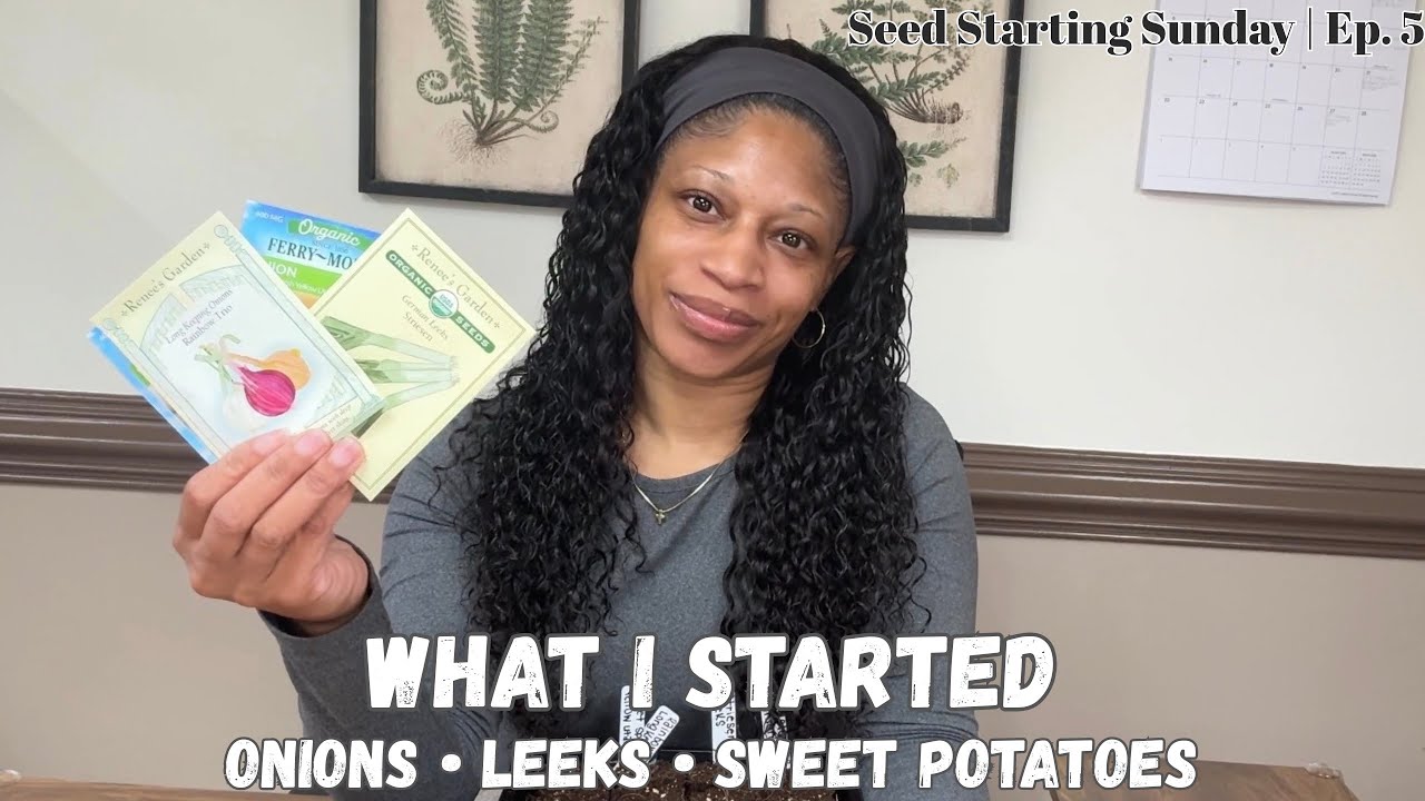 How to Start Sweet Potatoes for Slips + Onions & Leeks | Seed Starting Sunday #seedstarting #zone8a