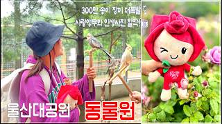 울산대공원 아쿠아시스 영상