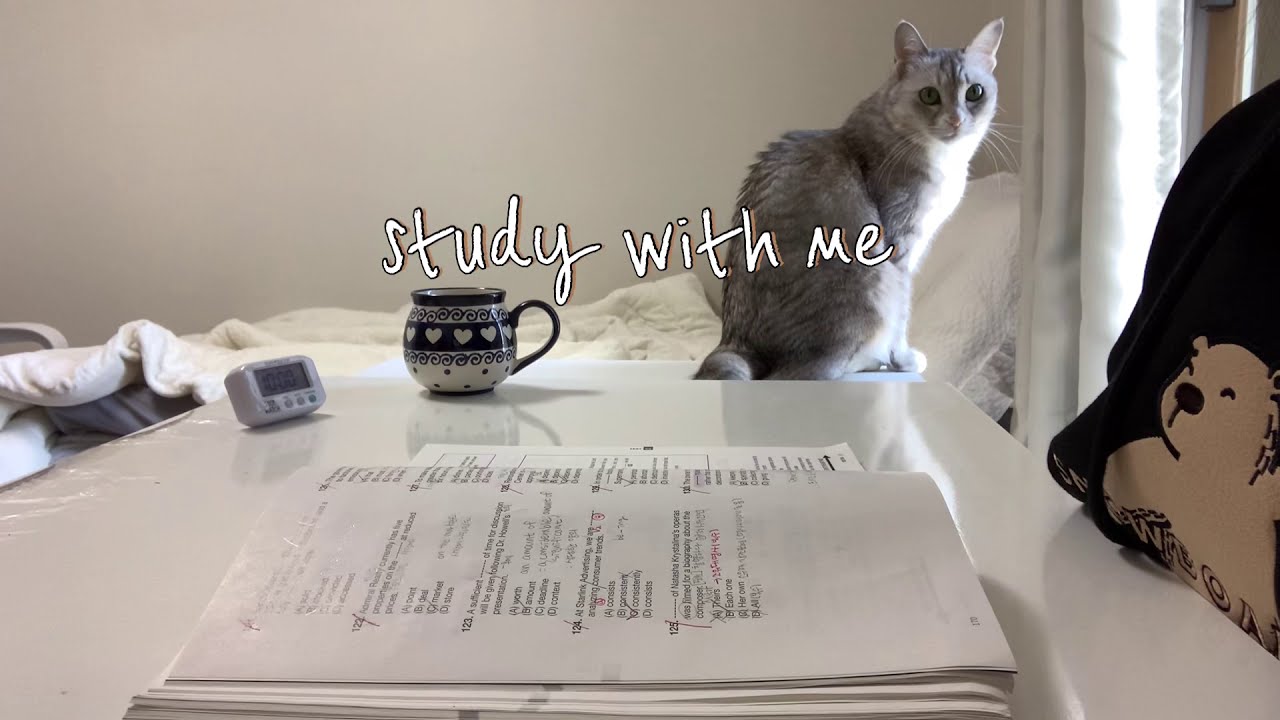 Study with me + my cat. In my room. 장작타는소리 asmr. 오늘도 같이 힘내봐요D YouTube