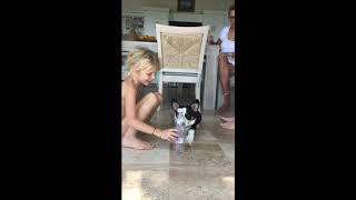 Training puppies and the whole family with social learning