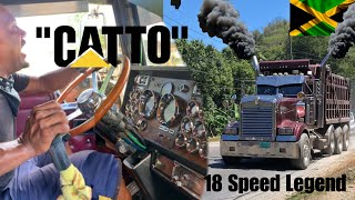 18 Speed Legend - "Catto" #St.Thomas