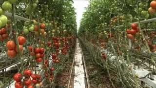 Haifa Multifeed Bigbag