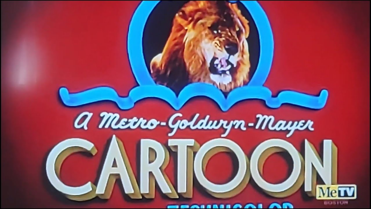 The Little Wise Quacker (1952) Opening On MeTV