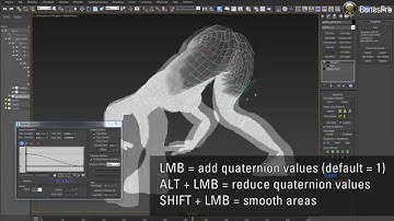 BonesPro dual quaterntion