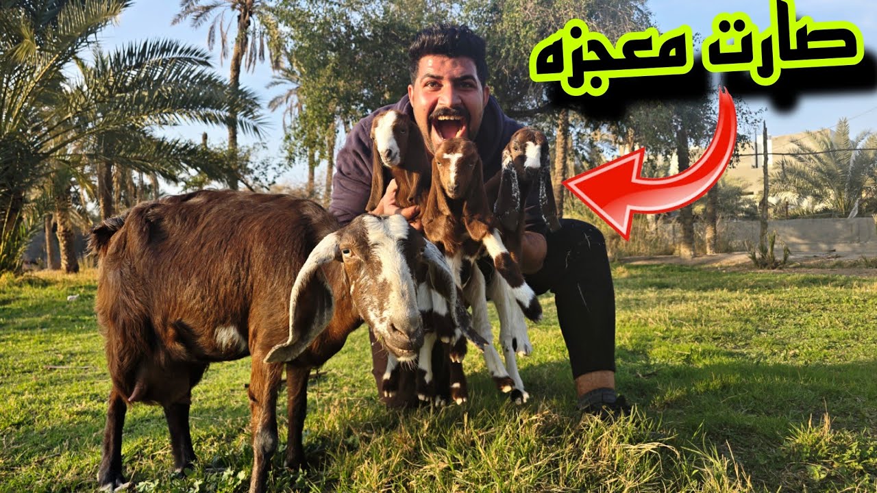 سعيده جابت ولاكن؟؟