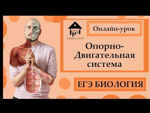 Опорно-Двигательная система для ЕГЭ 2023|ЕГЭ БИОЛОГИЯ|Freedom|