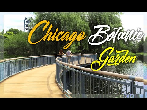 Our Walk through Chicago's Botanic Garden