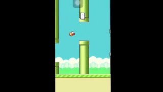 Flappy Bird Gameplay screenshot 5