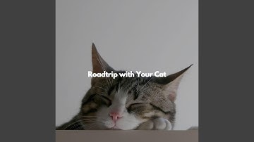 Alluring Moods for Co-Working Space