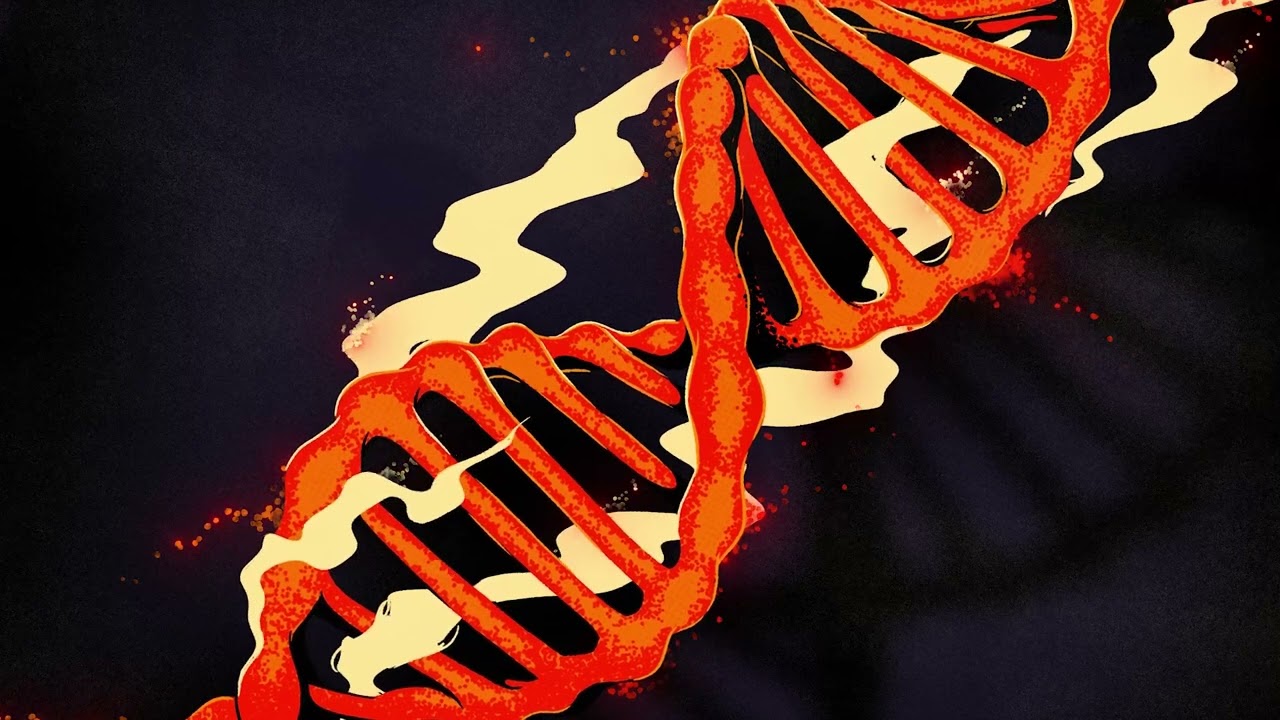 Bolam - Dream Machine [ONRO06]