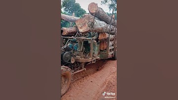 xe công nông 2 cầu chở gỗ Leo dốc cực khỏe mạnh agricultural vehicles with 2 bridges carrying timber