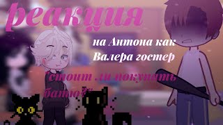 картинка: Реакция /tiny bunny/ на Антона как Валера гостер •|• стоит ли покупать батю?
