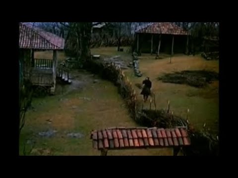 \"სამანიშვილის დედინაცვალი\" - გაყრა